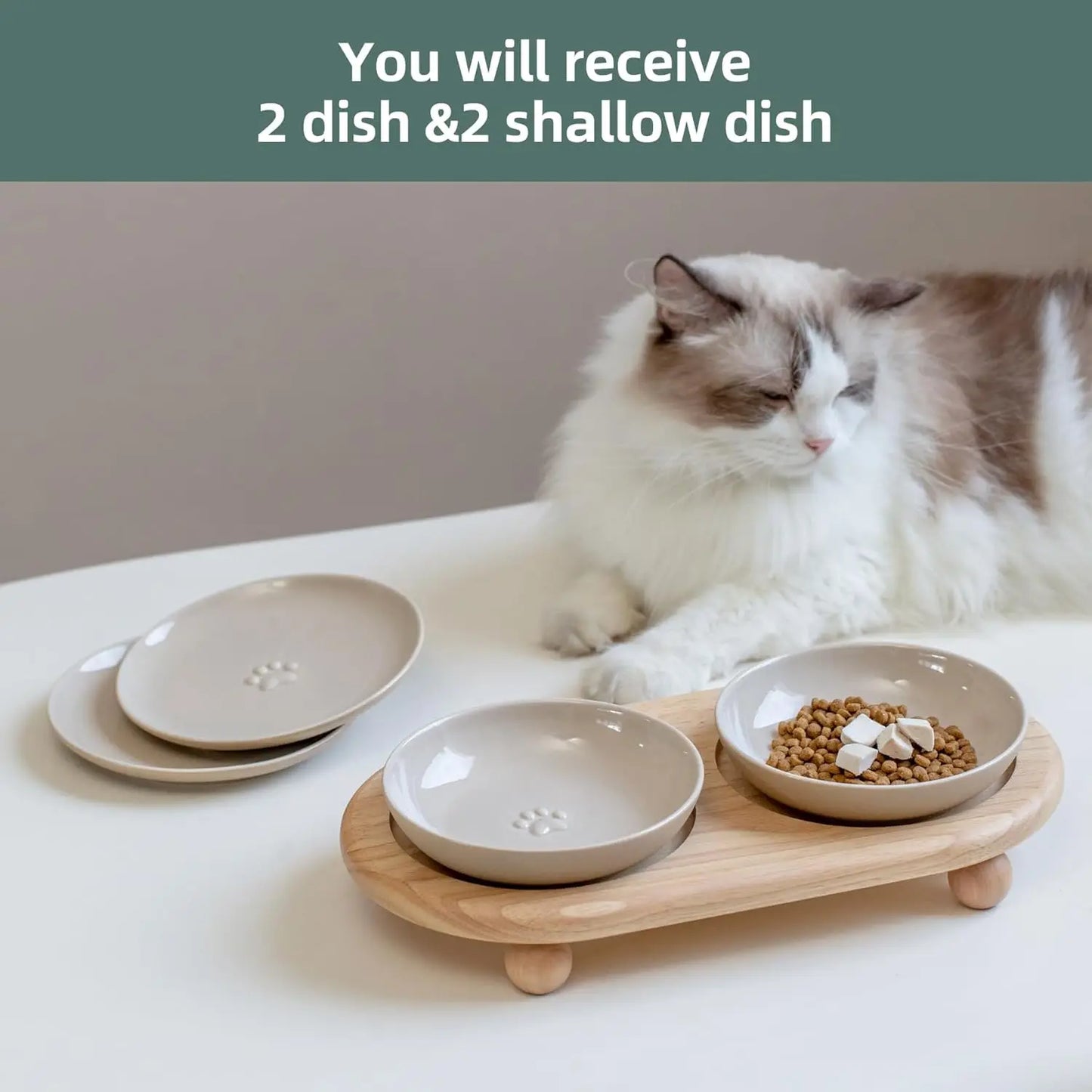Raised Ceramic Pet Food & Water Bowls