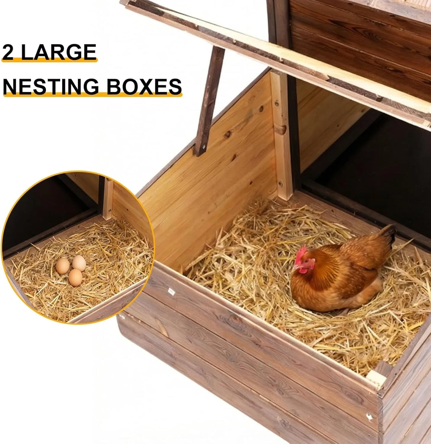 Large Outdoor Chicken Coop with 2 Nesting Boxes