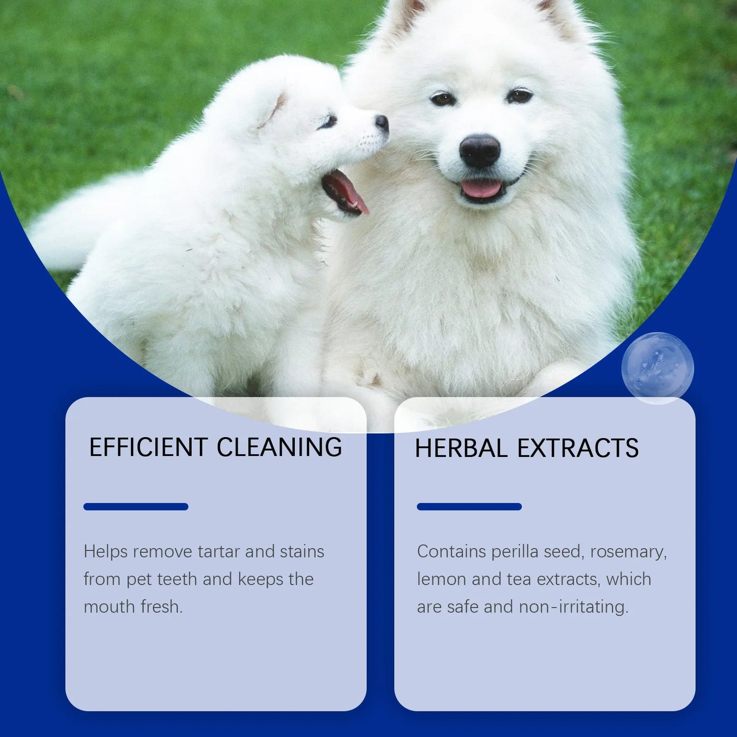 Yegbong 80g Pet Teeth Cleaning Powder