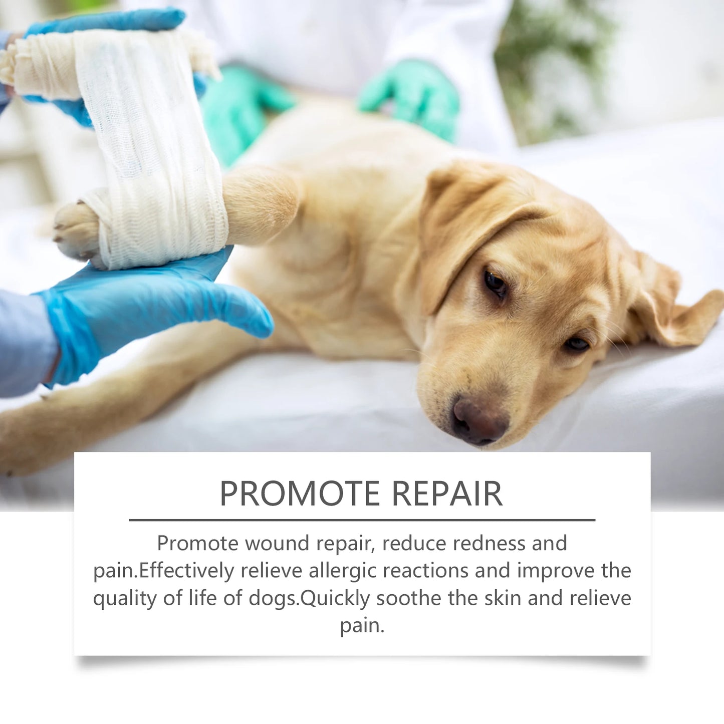 Yegbong 100ml Skin Soothing Spray for Dogs