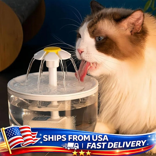 Automatic Large Capacity Pet Water Fountain