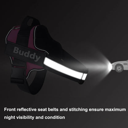 Adjustable Pet Harness with ID Custom Patch