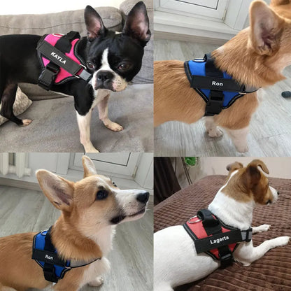 Adjustable Pet Harness with ID Custom Patch