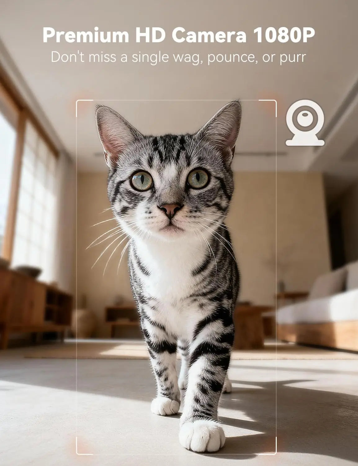 6L Automatic Pet Feeder w/Camera