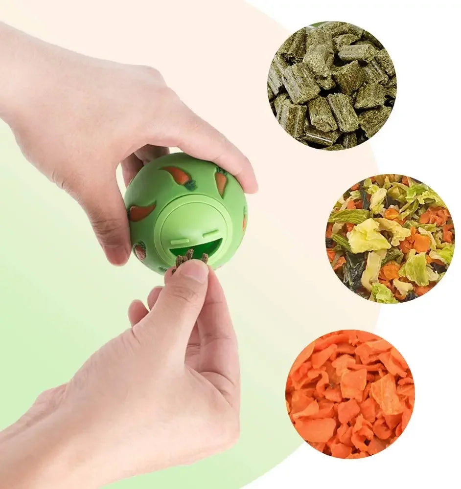 Slow Feeder/Treat Ball for Small Animals