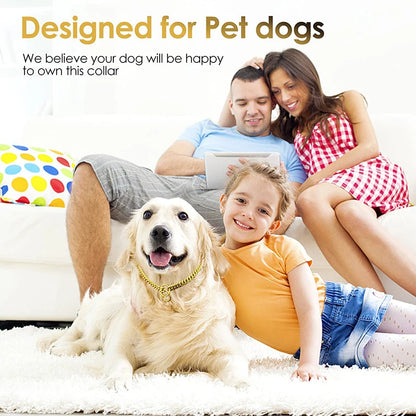 Stainless Steel Training Dog Collar
