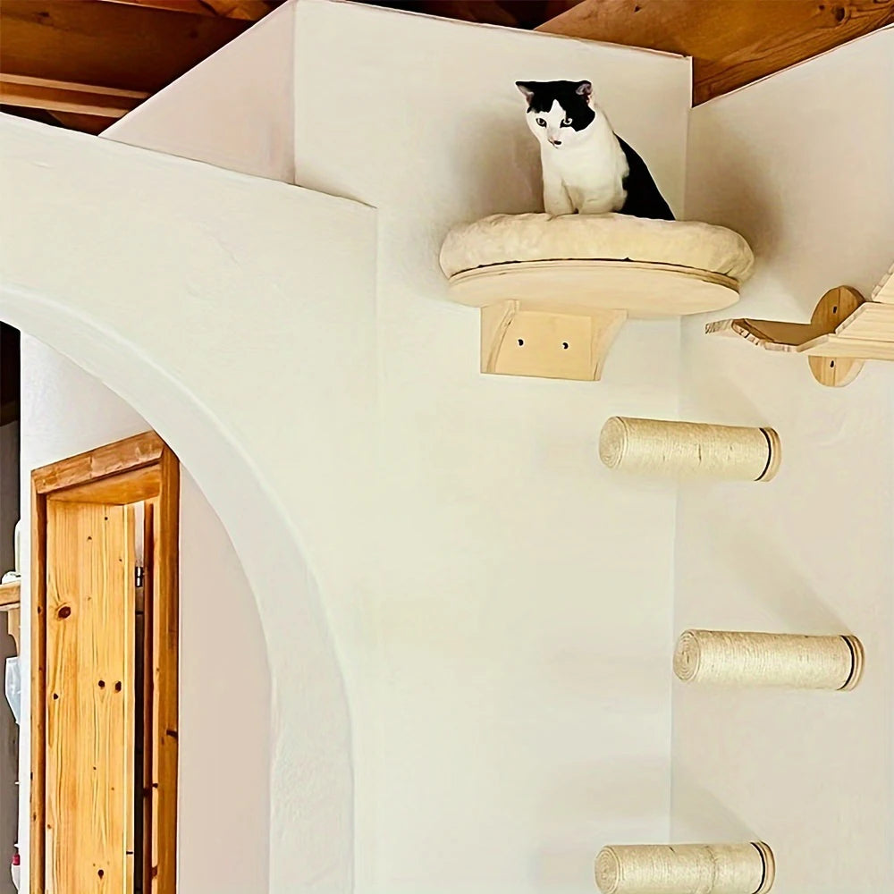 Wall Mounted Climbing Ladder with Scratching Post