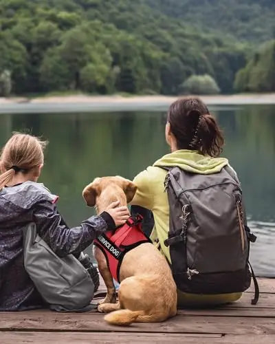 Service Dog Vest for Small Dogs with Patches