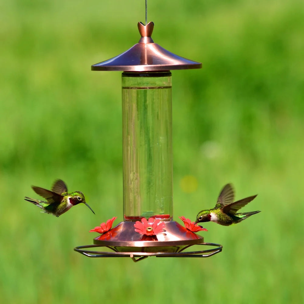 Elegant Copper Glass Hummingbird Feeder 12oz 4 Feeding Ports Wide Mouth Easy Clean Bee Guard Garden Decor