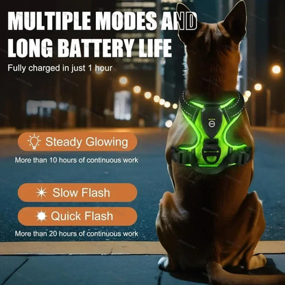 LED Rechargeable No Pull Dog Harness