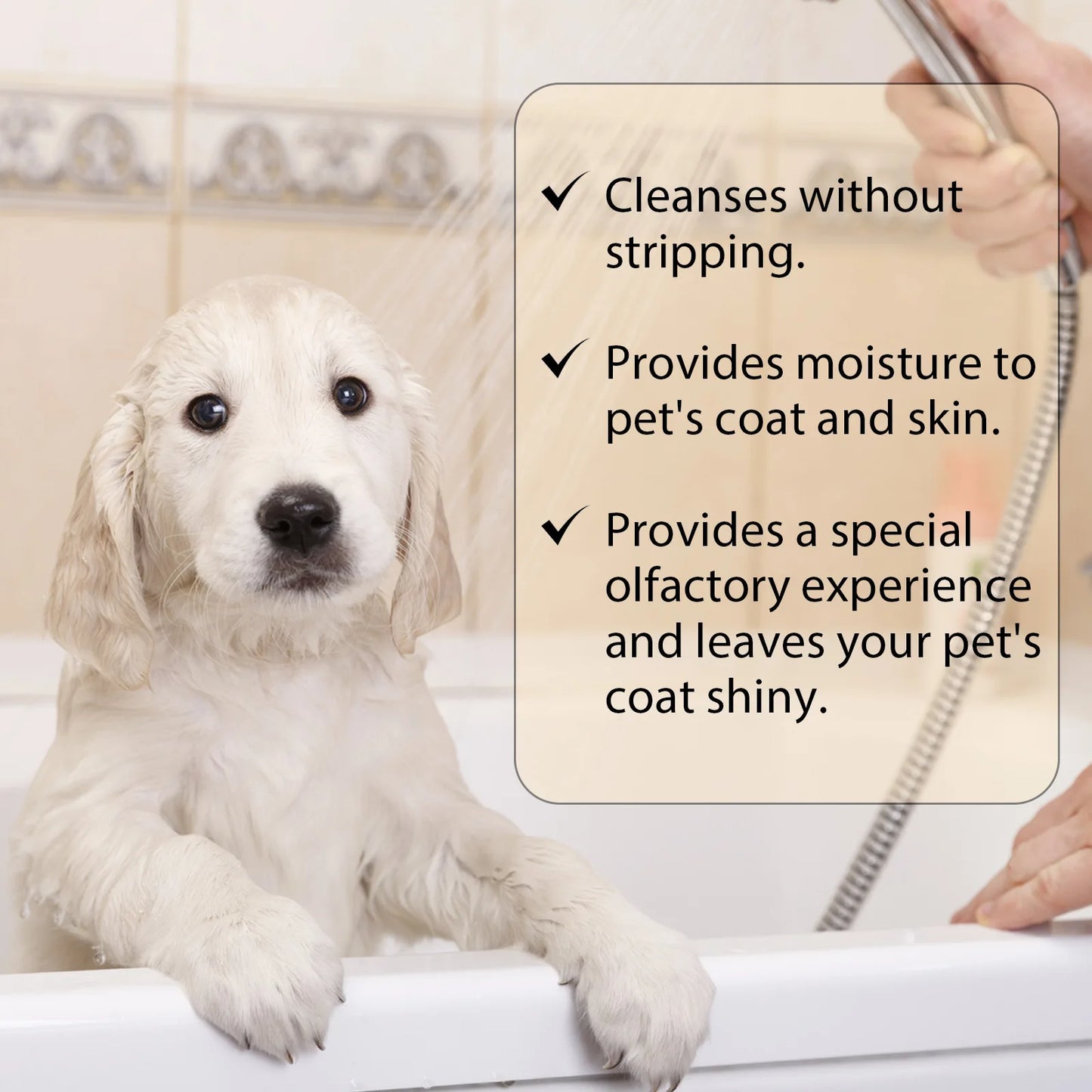 Yegbong :  Pet Shampoo Flea & Mite Killer