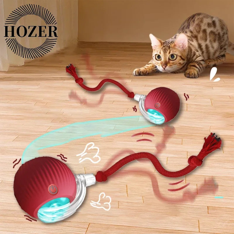 2pcs Ball & Mouse w/Tail Pet Toys-Rechargeable