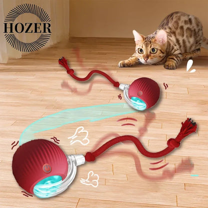 2pcs Ball & Mouse w/Tail Pet Toys-Rechargeable