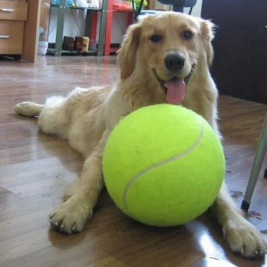9.5" Giant Tennis Ball Pet Toy