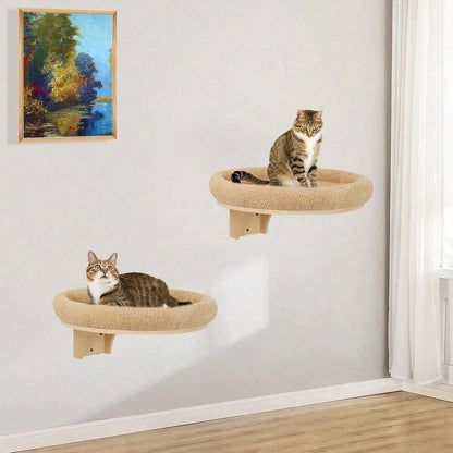Wall Mounted Climbing Ladder with Scratching Post