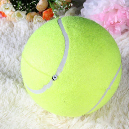 9.5" Giant Tennis Ball Pet Toy