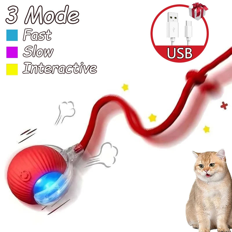 2pcs Ball & Mouse w/Tail Pet Toys-Rechargeable