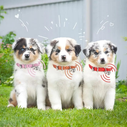 Adjustable Collar Small, Medium, and Large Pets