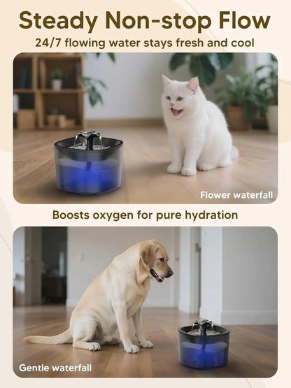 Automatic Pet Feeder/Water Fountain Set