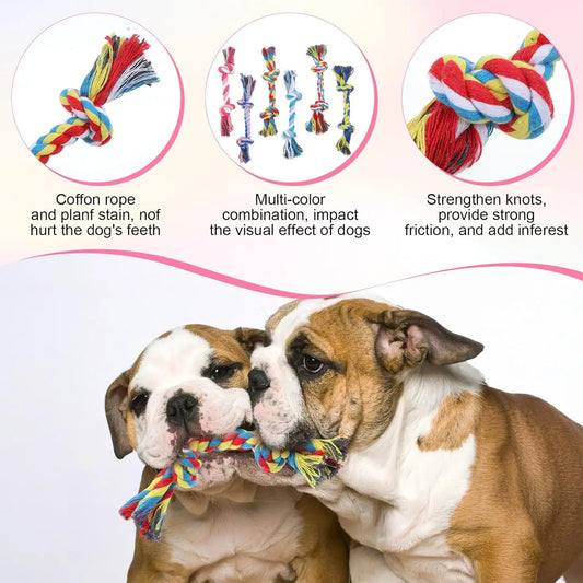 Braided Cotton Rope Tug of War Toy