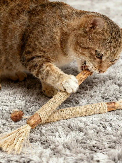 5pc Natural Silvervine Sticks Cat Toy