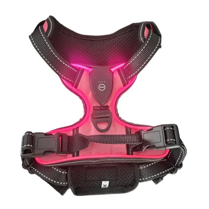 LED Rechargeable No Pull Dog Harness