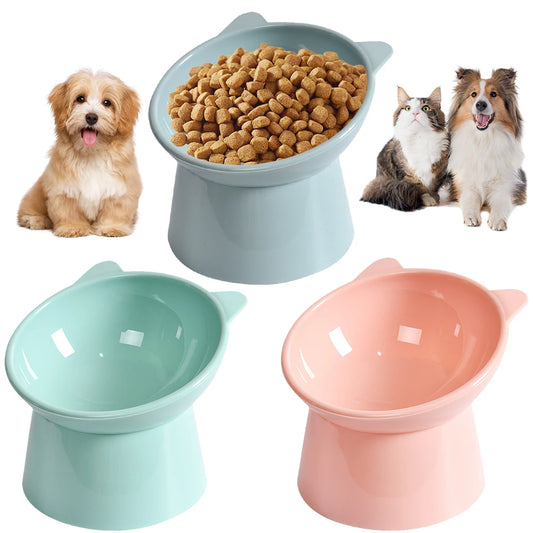 Raised, Inclined Pet Food & Water Bowls