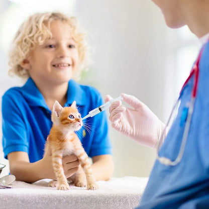 60/100ml Reusable Syringe Without Needle