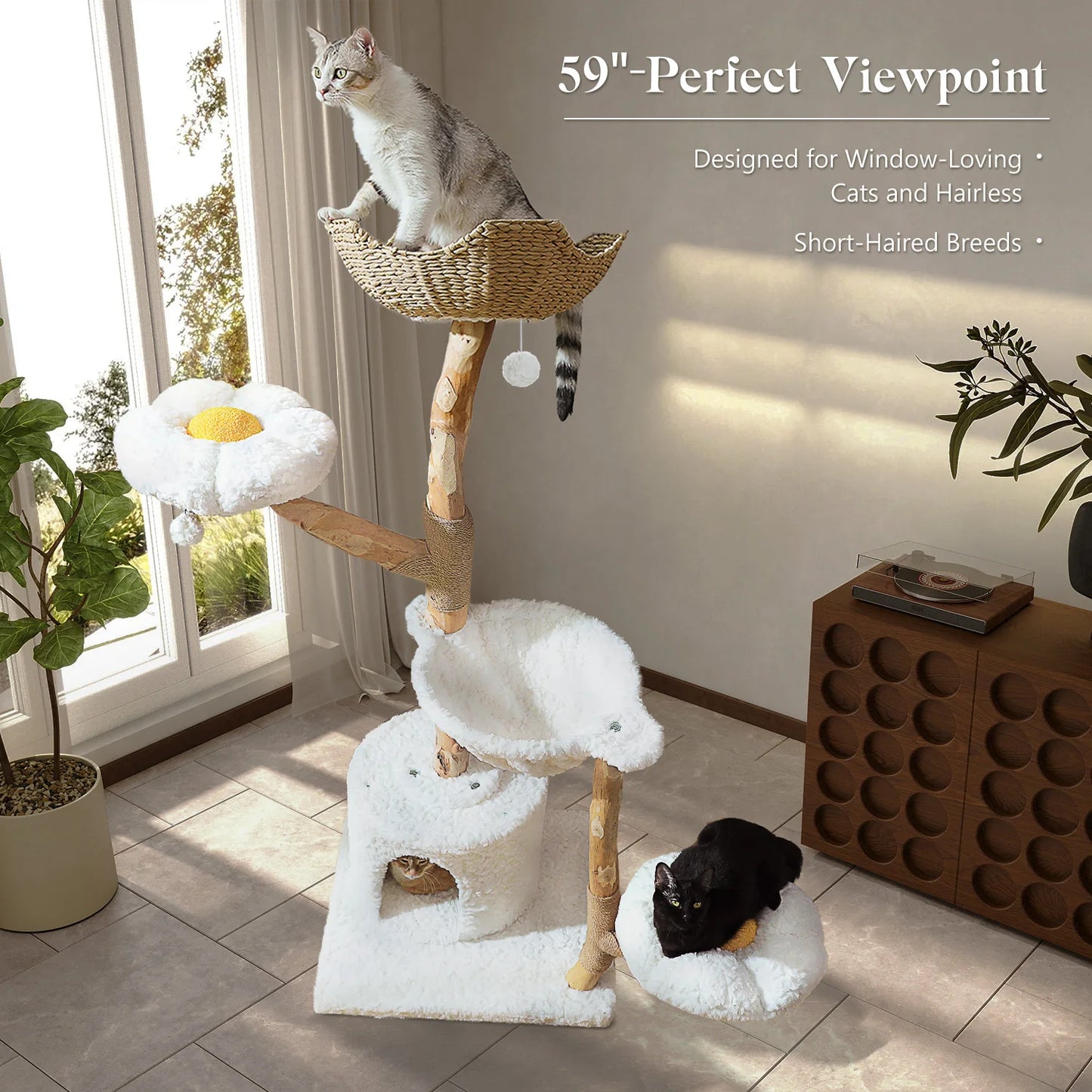 Solid Wood Indoor Cat Tree