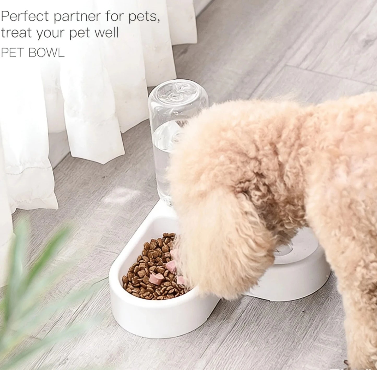 Pet Food Bowl w/Water Bottle