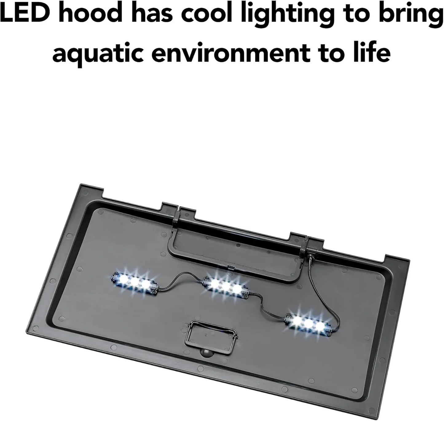 10 Gallon Aquarium Starter Kit with LED Lighting