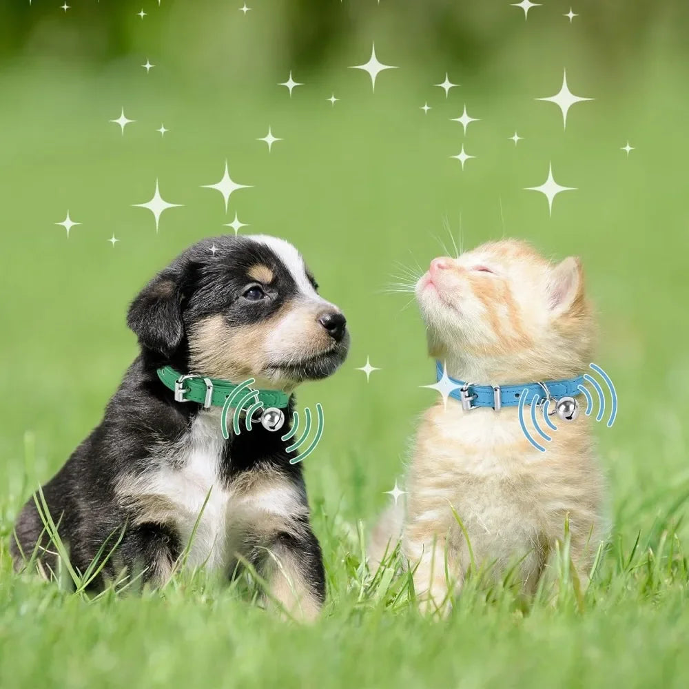 Adjustable Collar Small, Medium, and Large Pets