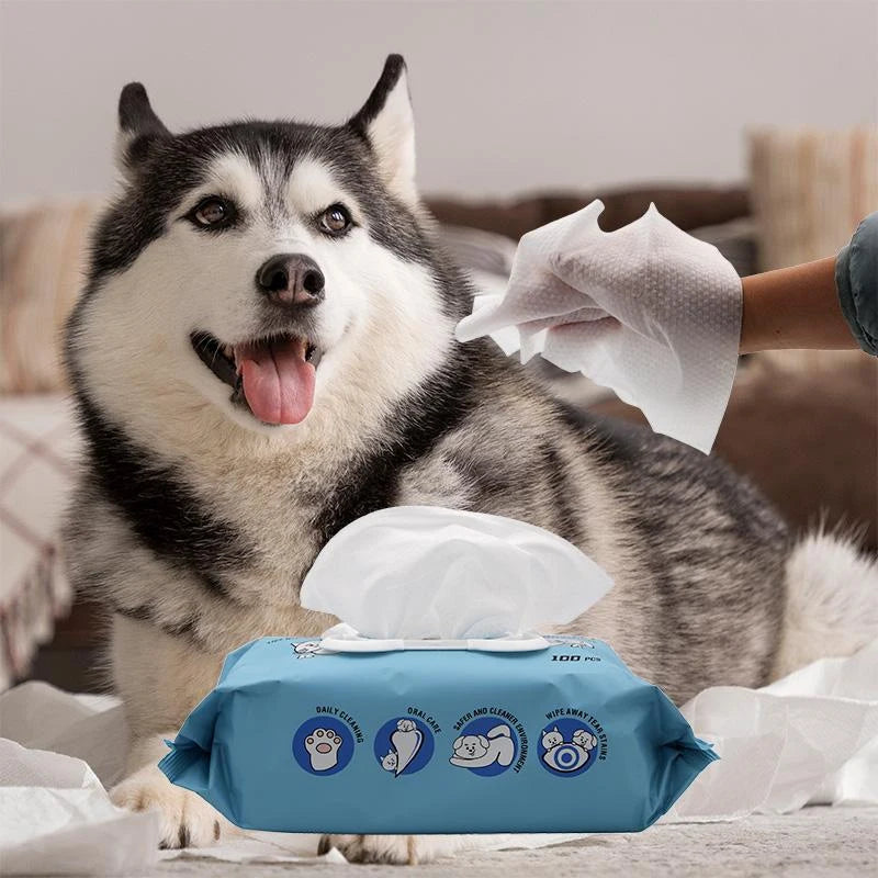 Hypoallergenic Pet Wipes, Unscented, 100 PCS