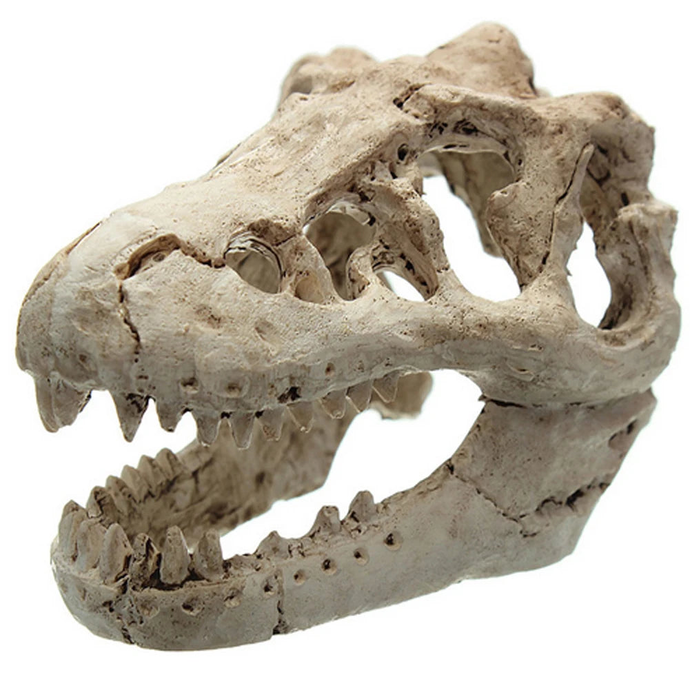 Dinosaur Head Decorative Aquarium Ornament