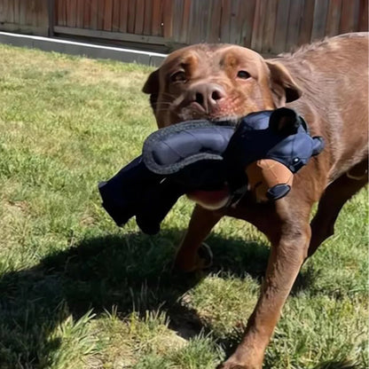 Squeaky Plush Bear Toy