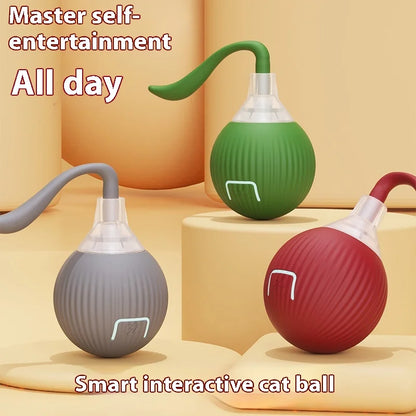 Interactive Toy Super Drive Rolling Ball