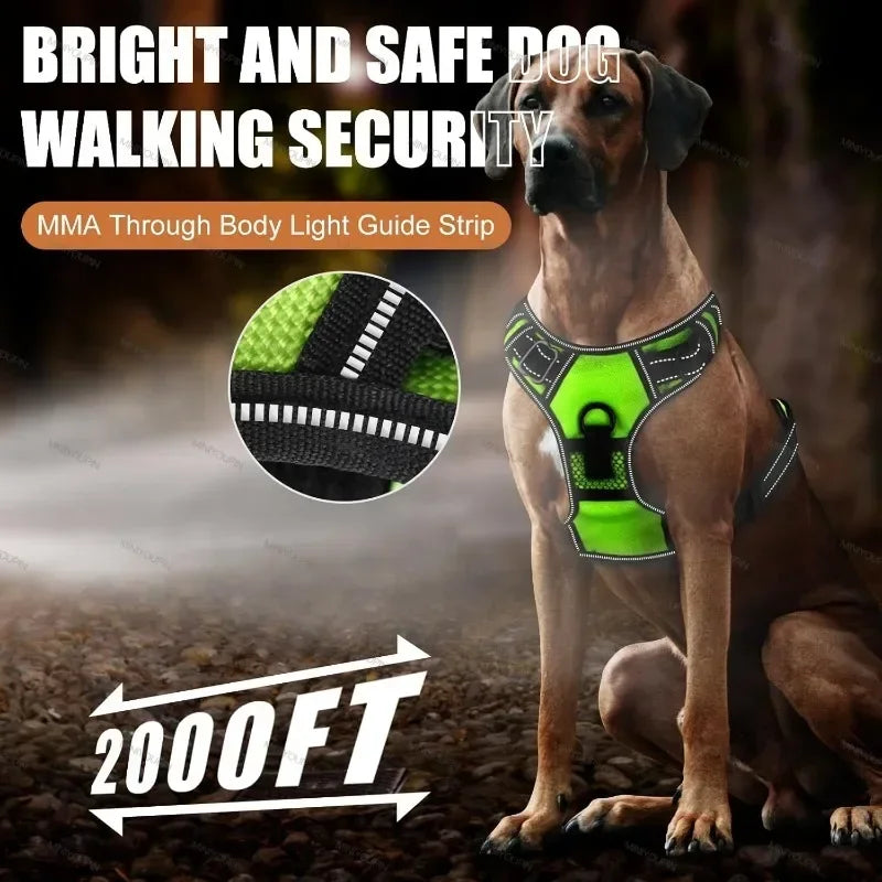 LED Rechargeable No Pull Dog Harness