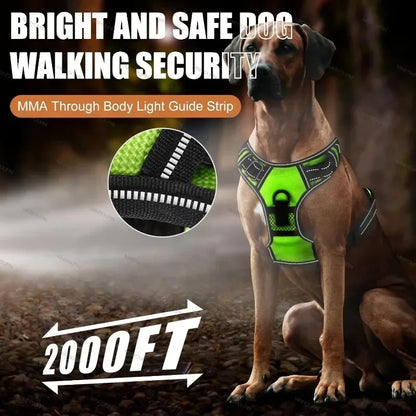LED Rechargeable No Pull Dog Harness
