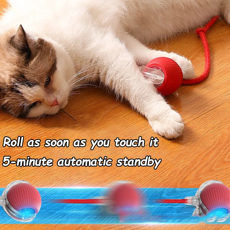 2pcs Ball & Mouse w/Tail Pet Toys-Rechargeable