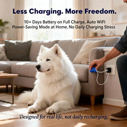 GPS Pet Tracker, WiFi Tracking, Lost Pet Locator