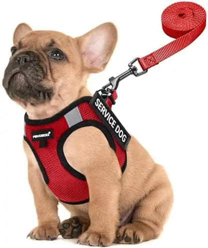 Service Dog Vest for Small Dogs with Patches