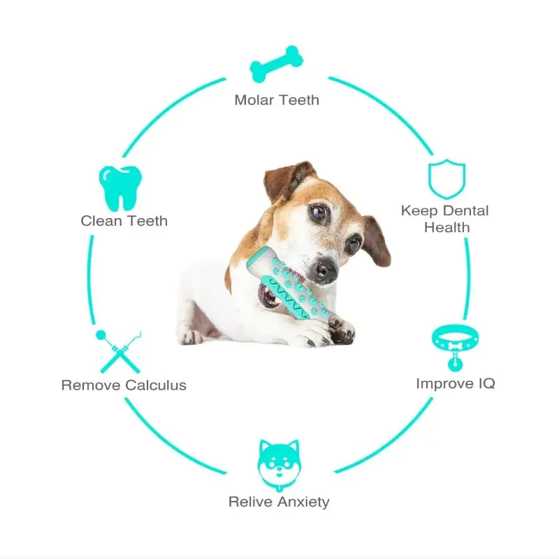 1PCS Dog Dental Chew Toys