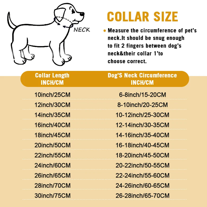 Stainless Steel Training Dog Collar