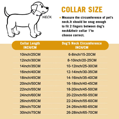 Stainless Steel Training Dog Collar