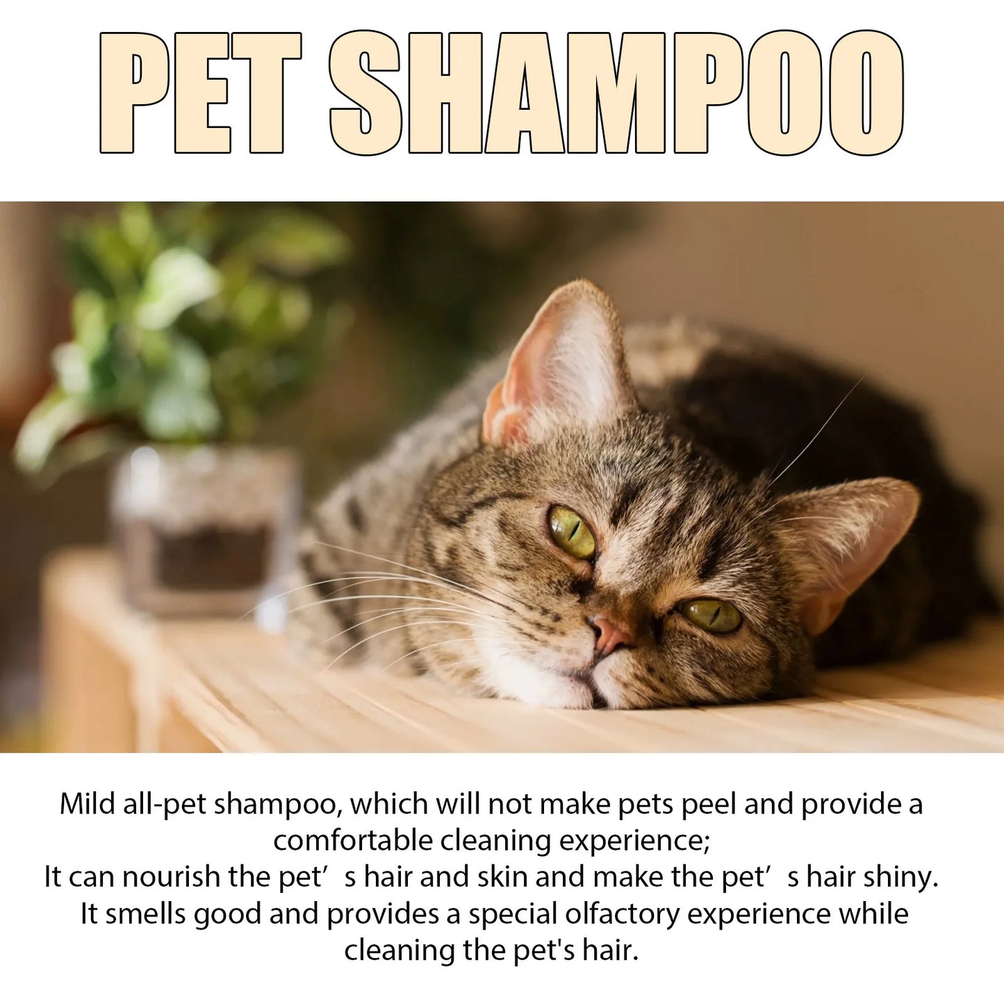 Yegbong :  Pet Shampoo Flea & Mite Killer