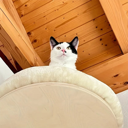 Wall Mounted Climbing Ladder with Scratching Post