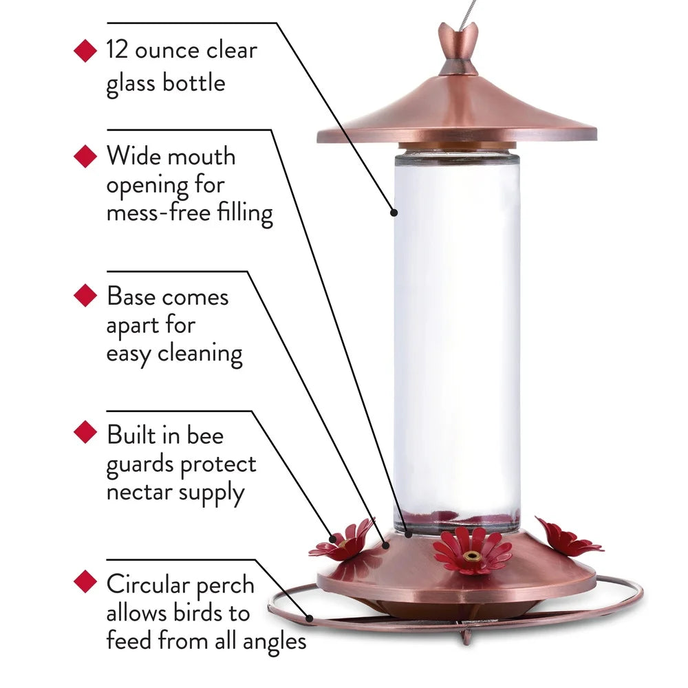 Elegant Copper Glass Hummingbird Feeder 12oz 4 Feeding Ports Wide Mouth Easy Clean Bee Guard Garden Decor