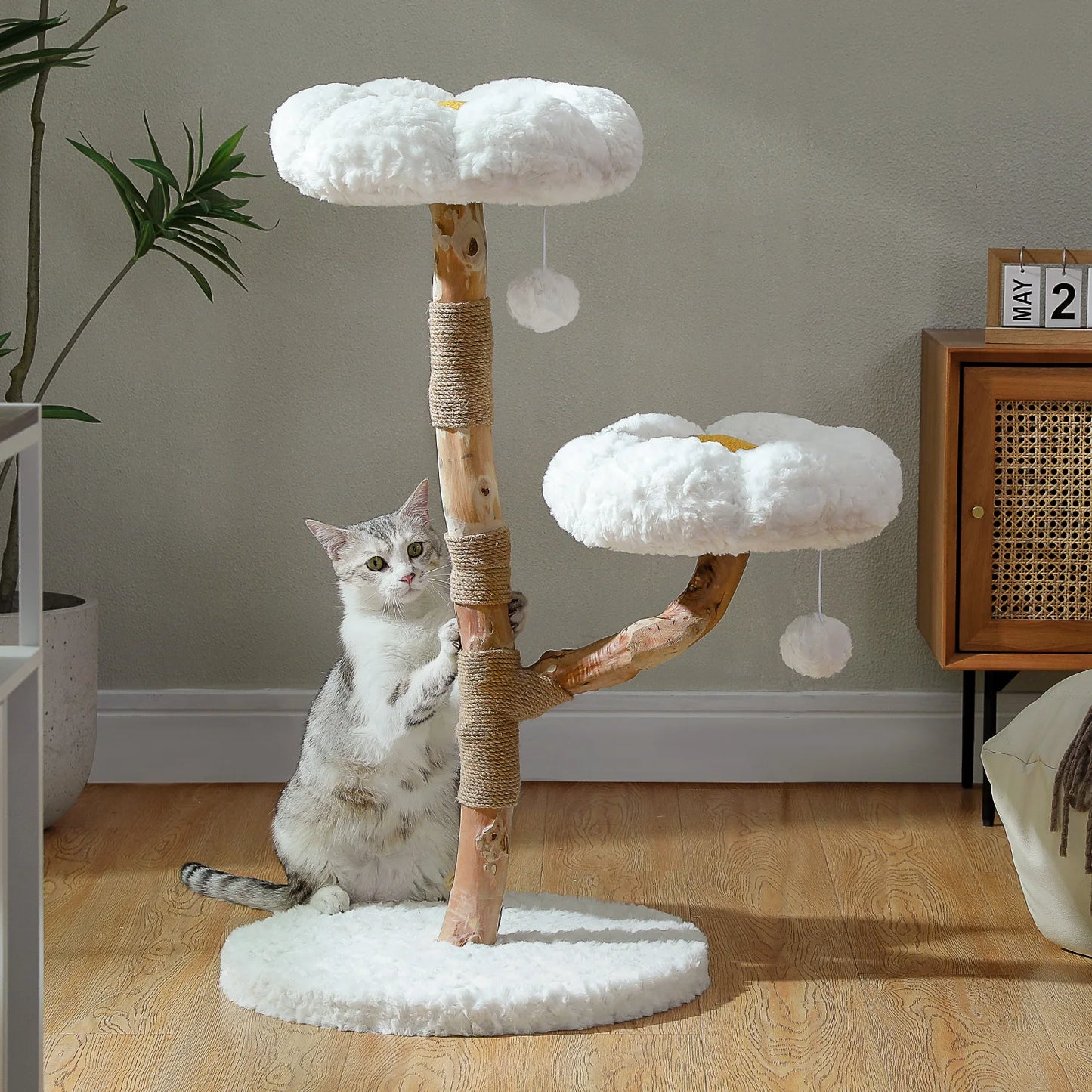 Solid Wood Indoor Cat Tree