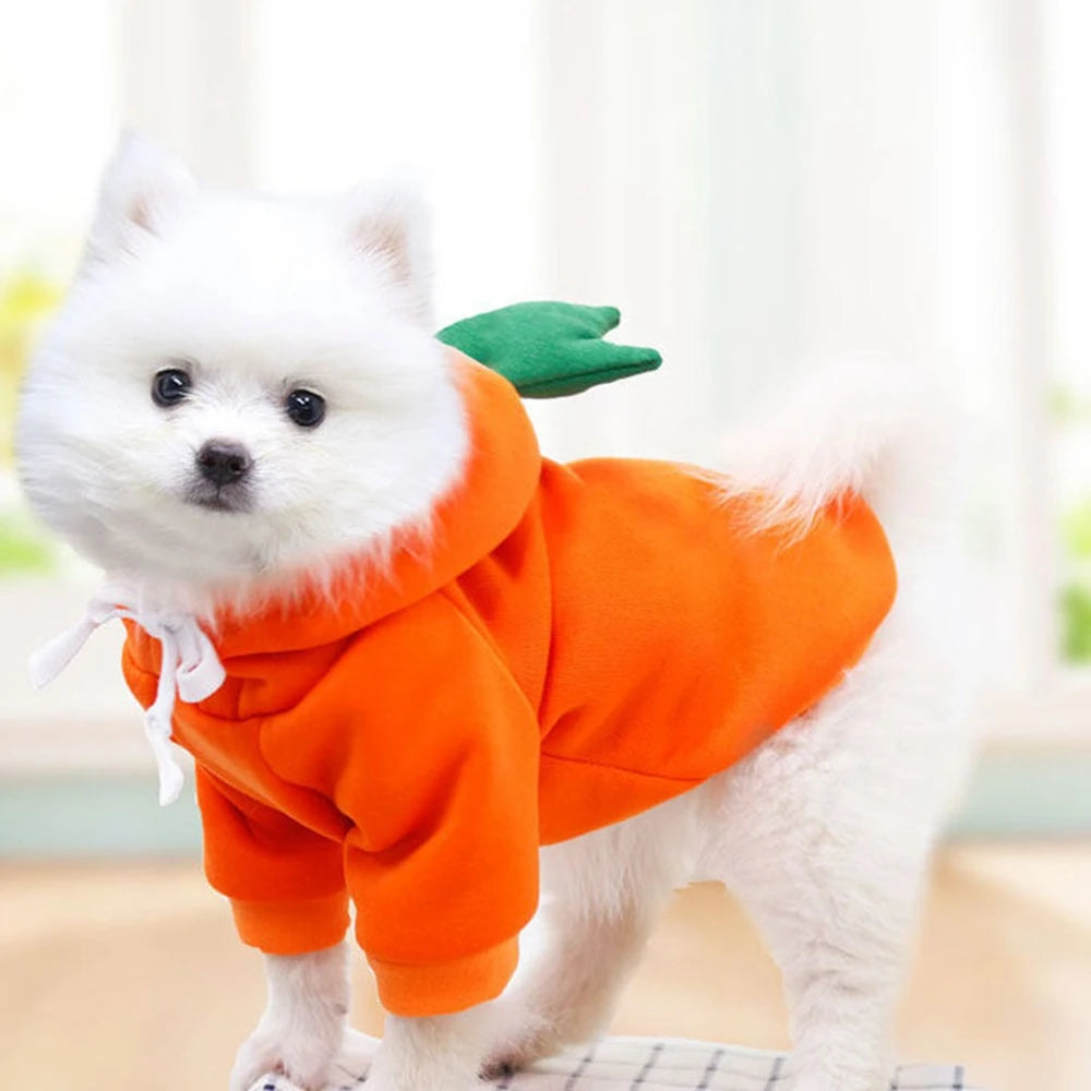 Warm Pet Fruit Hoodies in S to XXL