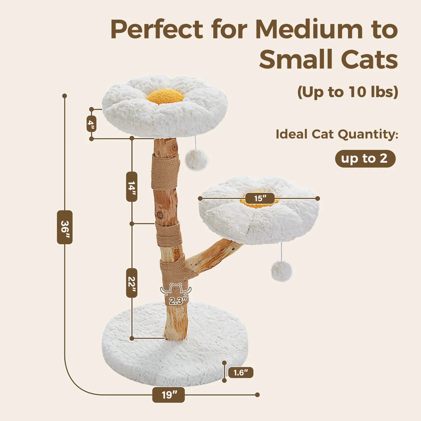 Solid Wood Indoor Cat Tree